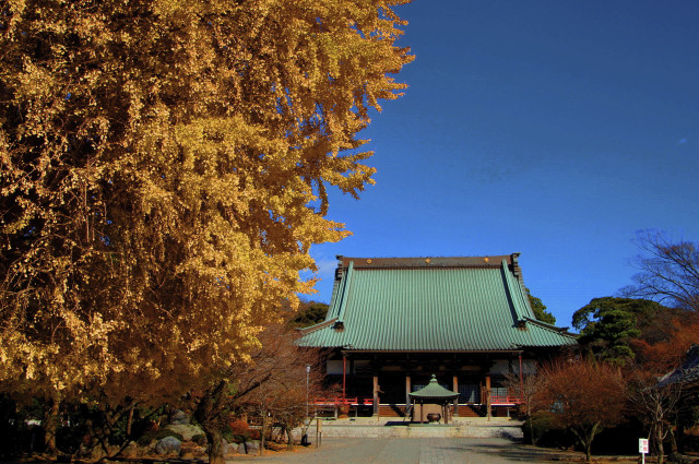 藤澤山 無量光院 清浄光寺（遊行寺）